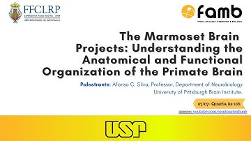 Understanding the Anatomical and Functional Organization of the Primate Brain