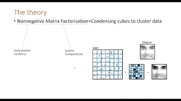 Nonnegative Matrix Factorization in Essbase