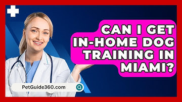 Can I Get In-Home Dog Training in Miami? - PetGuide360.com