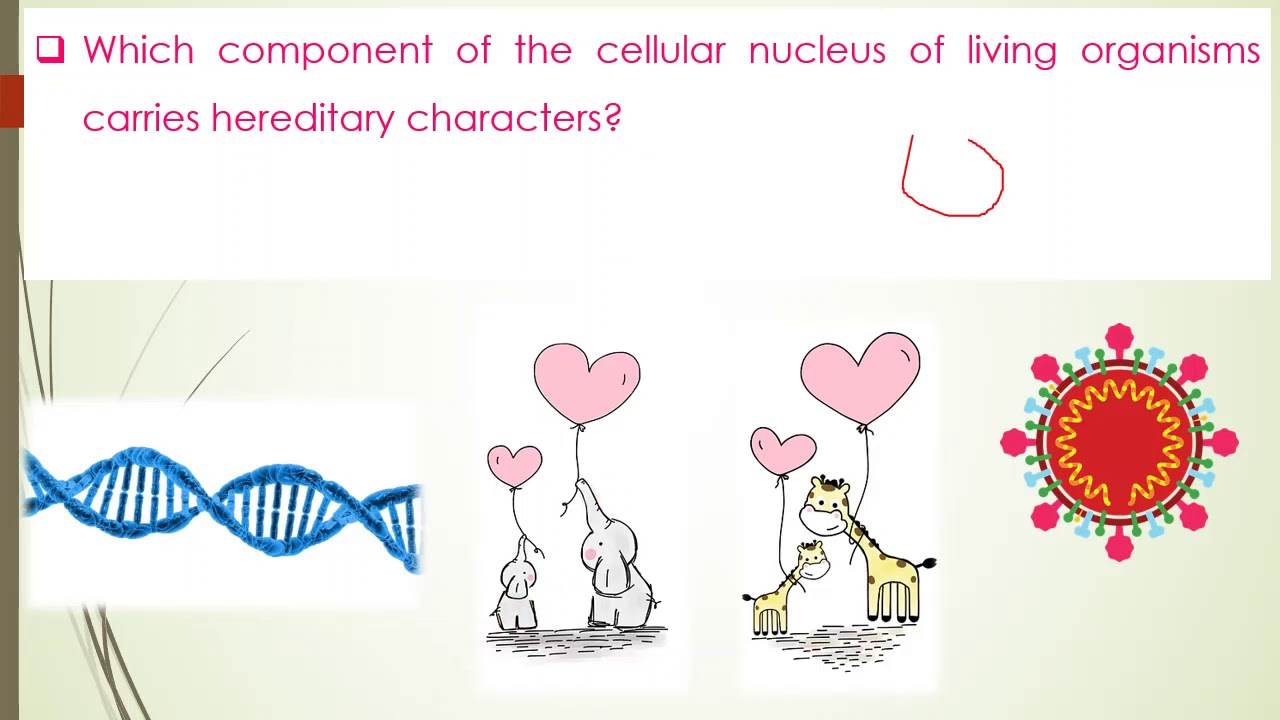 heredity assignment class 10