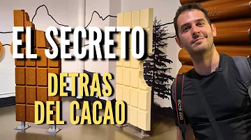 ¿Por qué es tan bueno el chocolate suizo?