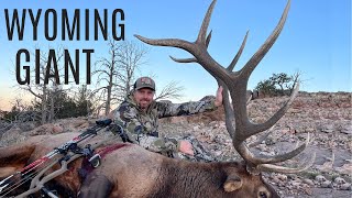 Amazing archery Elk Hunt | Hunter kills his biggest bull ever