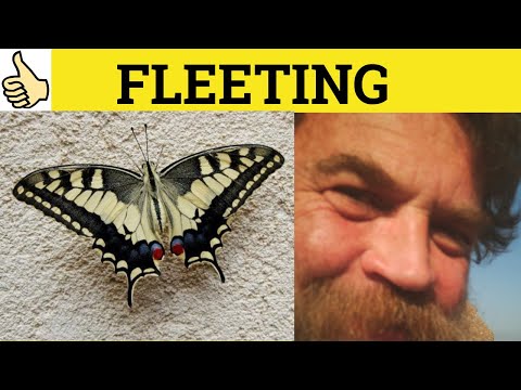 🔵 Fleeting Fleet - Fleeting Meaning - Fleet Examples - Fleeting Definition - GRE 3500 Vocabulary