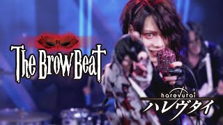The Brow Beat 「ハレヴタイ」【Official Music Video [Full Ver.] 】