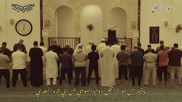 ما تيسر من سورة النحل (يو تأتي كل نفس) برواية السوسي - أبو حفص هاني ابن نورالدين