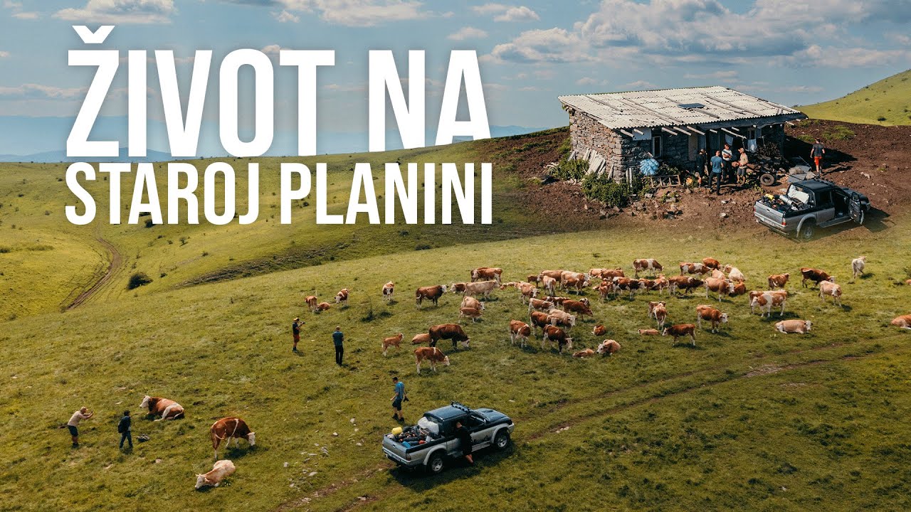 Život u NAPUŠTENOJ mlekari na STAROJ PLANINI