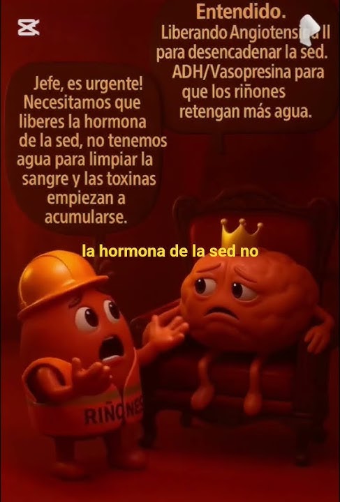 kidney brothers #parati #viralvideo #health #kidneys #childrenstories #cartoons