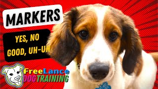 Markers | How teaching 4 words will transform your dog by FreeLance Dog Training 285 views 2 years ago 13 minutes, 13 seconds