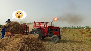 New model Massey Ferguson 385(85hp)with new tharesher unleasing the power test on harvesting by King motors 324 views 4 weeks ago 2 minutes, 23 seconds