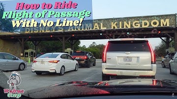 How to Ride Flight of Passage with Zero Line | Disney