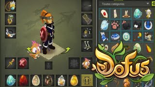 LE MEILLEUR STUFF DOFUS DU MOMENT