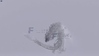 Houdini20.5 Water Dragon Flip Solution hip Project xpu