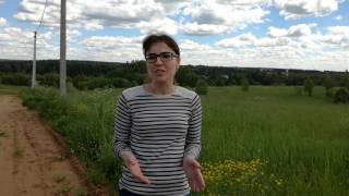 видео Купить земельный участок в Чеховском районе, продажа недорогой земли