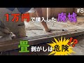 【1万円で廃墟を購入】DIY編 畳剥がしも危険な作業ということが分かりました。廃墟のボロさが浮き彫りに。|DIY素人夫婦で古民家をリノベーション|♯8