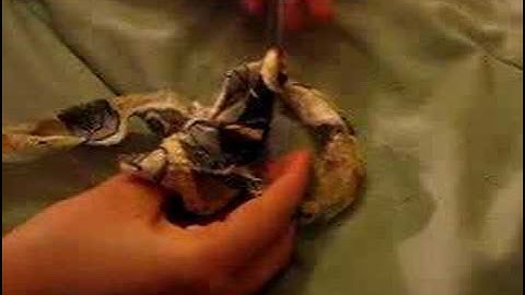 Basic Instructions to Make a Rag Rug - (3) FULL DIRECTIONS