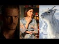 Anteprima Film 2019-2020: Adler Entertainment  presenta il nuovo listino - HD
