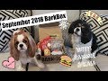 Cavalier King Charles Spaniel | BarkBox Unboxing | September 2018 | with Sammie &amp; Kaia | #BarkBoxDay