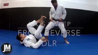 ATOS Reverse Dela Riva Sweep