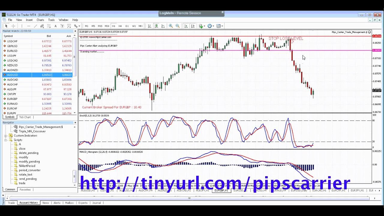 Pi!   ps Carrier Forex Trading Indicator Explained The Best I Have Used By Fa!   r - 