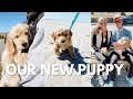 VLOG: BRINGING HOME OUR 8 WEEK OLD GOLDEN RETRIEVER PUPPY