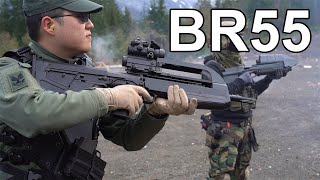(Weapons D6 / BR55 Battle Rifle)