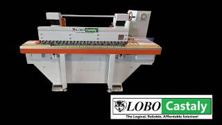 Castaly - SD-A1D2PS Auto Feed Through Edge Orbital Sander