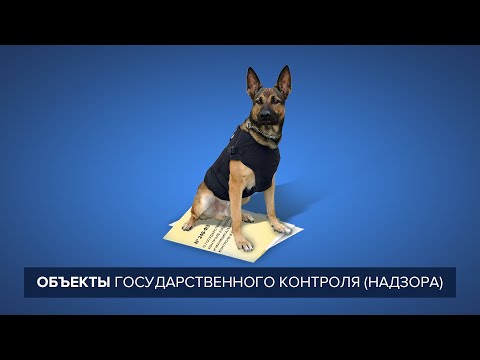 Объекты государственного контроля (надзора)