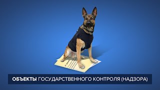 Объекты государственного контроля (надзора)