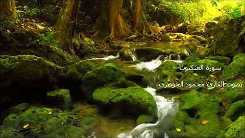 تلاوة عطرة لسورة العنكبوت بصوت القارئ محمود الجوهري