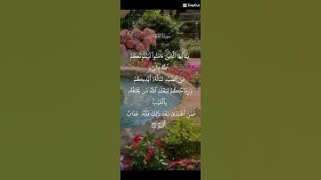 سوره المائده