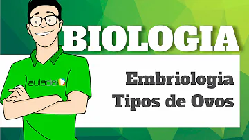 Que tipo de ovo é esse?
