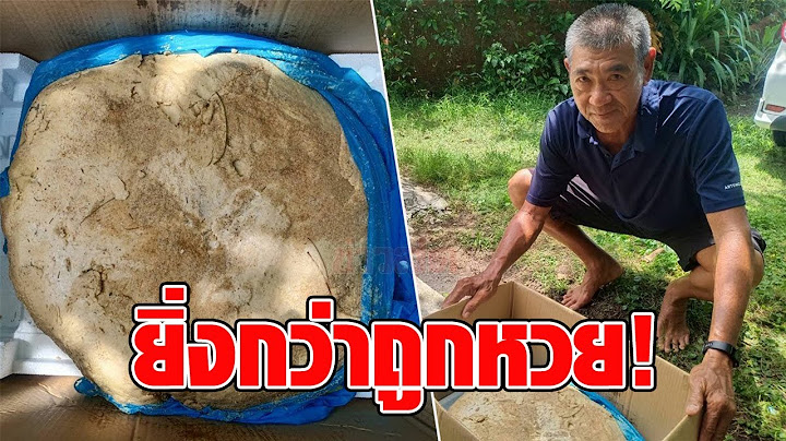 ยิ่งกว่าถูกหวย! ลุงสุดปลื้ม บังเอิญเจออำพันทะเลก้อนเบิ้ม หนัก 20 กก. มูลค่าเกือบ 30 ล้าน