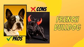 Pros And Cons Of Owning French Bulldog by TOP BEST PETs 35 views 2 years ago 7 minutes, 8 seconds