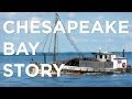 Pollution in The Chesapeake Bay