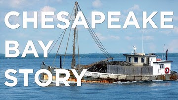 Pollution in The Chesapeake Bay