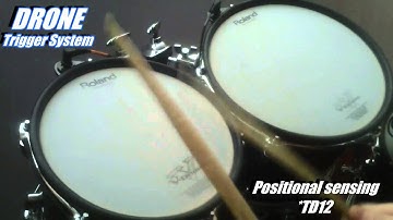 DRONE Drum Trigger System-Tom Positional sensing - Roland TD12