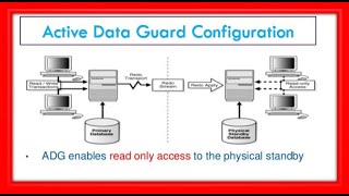 Active Data Guard Setup with one Shell Script | Oracle 19c Data Guard Setup screenshot 5