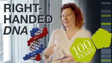 Why is DNA right-handed? – with Turi King