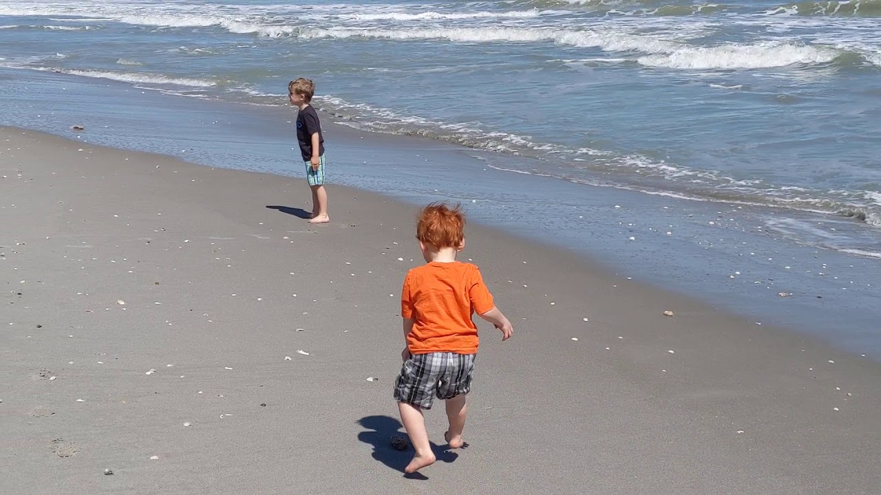 Throwing Shells at the Ocean YouTube