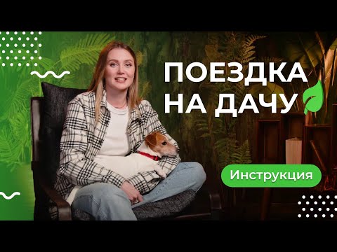 Как подготовить питомца к поездке на дачу | Сезон защиты от паразитов - 4 серия