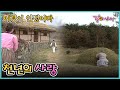 [이것이 인생이다] 천년의 사랑 | KBS 2000.11.21. 방송