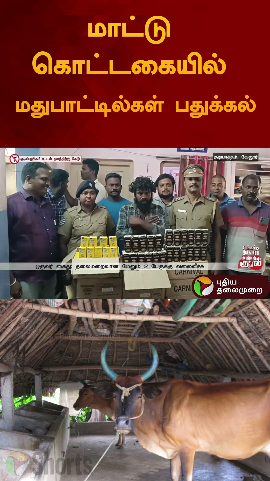 மாட்டு கொட்டகையில் மதுபாட்டில்கள் பதுக்கல் | #vellore | #liquor | #shorts