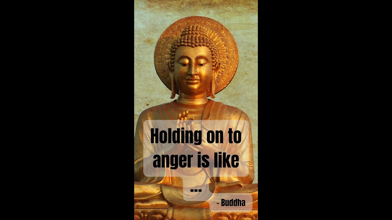 Buddha Quote: Holding on to anger is like... 