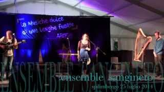 ENSEMBLE SANGINETO - Rocky Road to Dublin