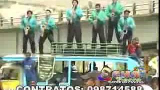 Video thumbnail of "Banda Santa Marianita Del Olivo   Swing De La Trompeta"