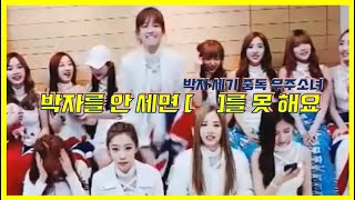 [우주소녀] 아이돌 데뷔하고 시키는 거 다 해요