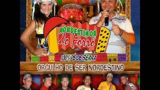 Video thumbnail of "Gemedeira - Nordestinos do forro"