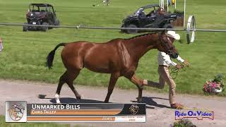 006J1 Chris Talley on Unmarked Bills CCI4* Long Jog 1 Rebecca Farm July 2022
