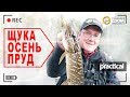 За капризной ЩУКОЙ на осенний пруд! А.Рыжов. Anglers Practical