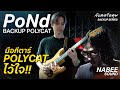  backup series   polycat    polycat  nabee sound